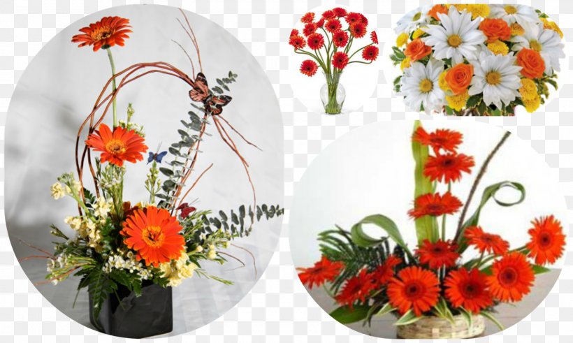 Transvaal Daisy Floral Design Cut Flowers Flower Bouquet, PNG, 1600x959px, Transvaal Daisy, Artificial Flower, Cut Flowers, Daisy Family, Flora Download Free