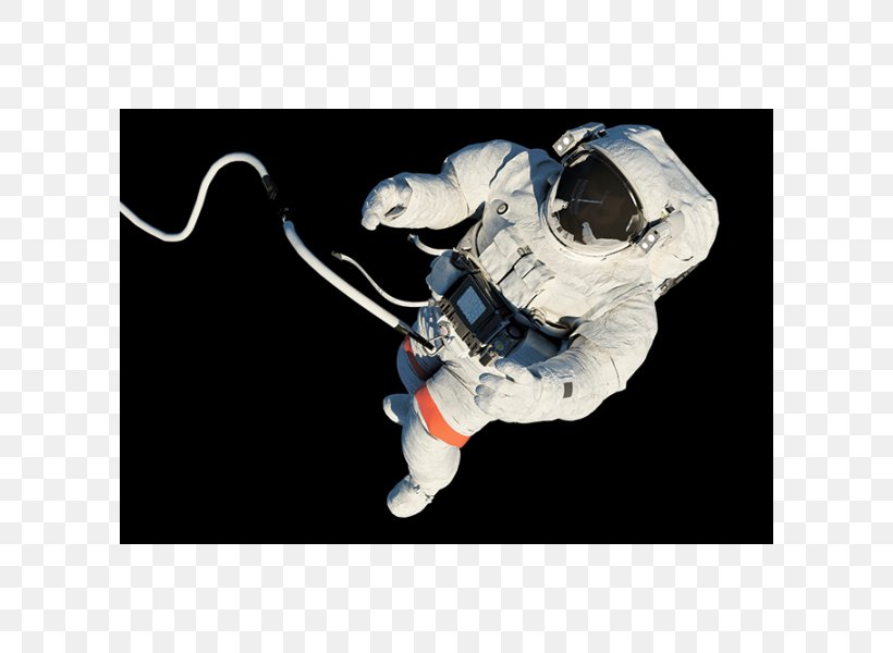 Astronaut International Space Station Human Spaceflight Space Suit, PNG, 600x600px, Astronaut, Figurine, Homo Sapiens, Human Spaceflight, International Space Station Download Free