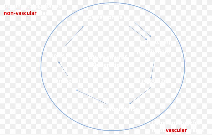 Circle Point Angle, PNG, 1449x923px, Point, Area, Diagram, Microsoft Azure, Sky Download Free
