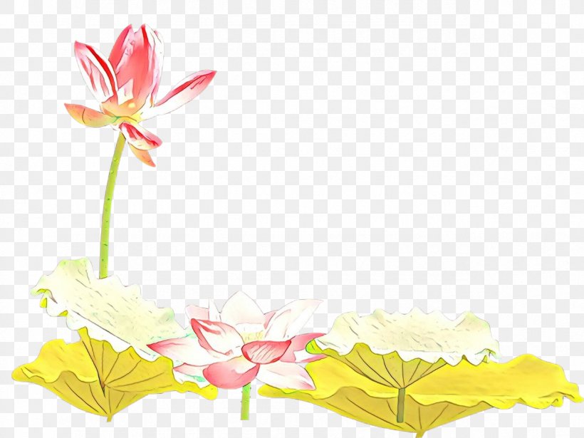Floral Design Desktop Wallpaper Plant Stem Leaf Font, PNG, 1277x959px, Floral Design, Aquatic Plant, Botany, Computer, Flower Download Free