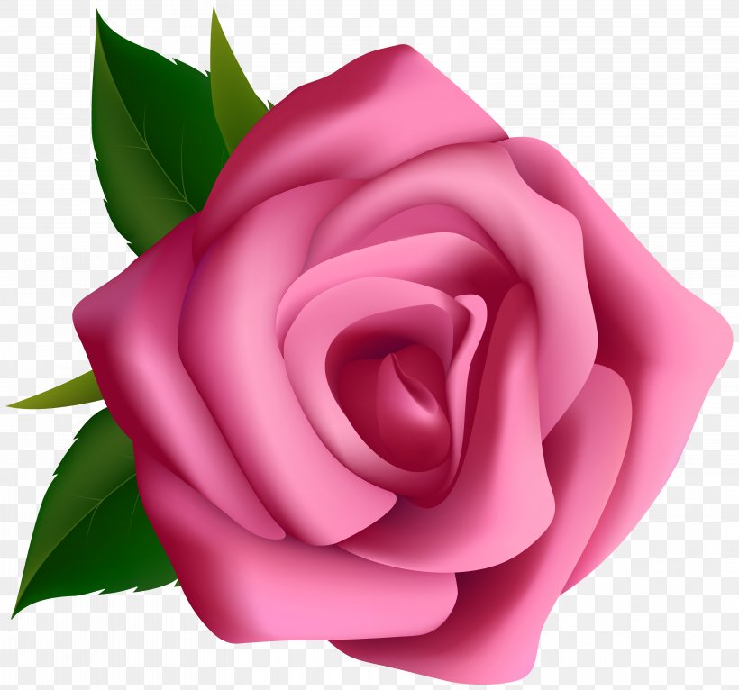 Rose Pink Clip Art, PNG, 6268x5859px, Rose, Blog, China Rose, Close Up, Cut Flowers Download Free