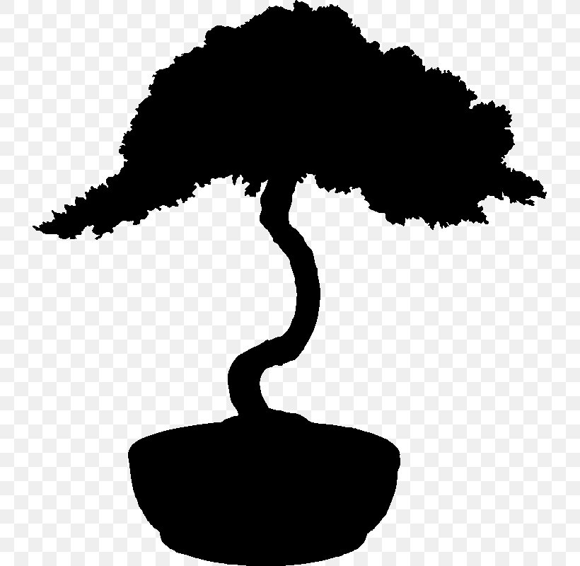 Tree Bonsai Silhouette Stock Photography, PNG, 800x800px, Tree, Black And White, Bonsai, Branch, Flowerpot Download Free