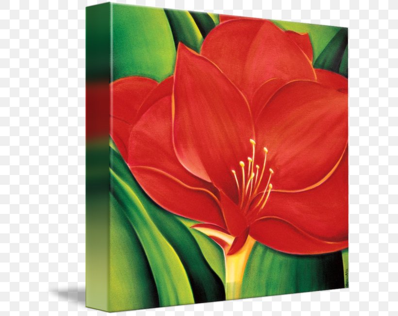 Amaryllis Jersey Lily Acrylic Paint Still Life Photography, PNG, 633x650px, Amaryllis, Acrylic Paint, Acrylic Resin, Amaryllis Belladonna, Belladonna Download Free