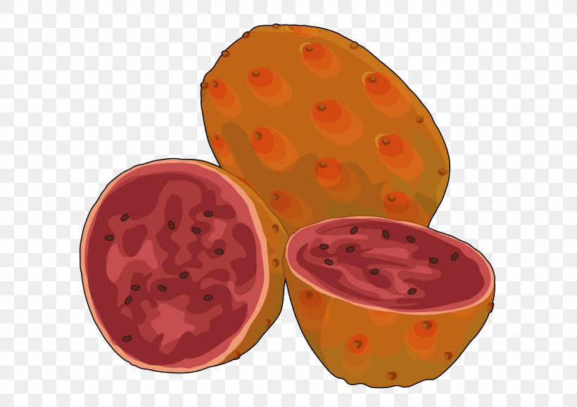 Fruit Food Drawing Tuna Barbary Fig, PNG, 3508x2480px, Fruit, Banana, Barbary Fig, Caricature, Dates Download Free