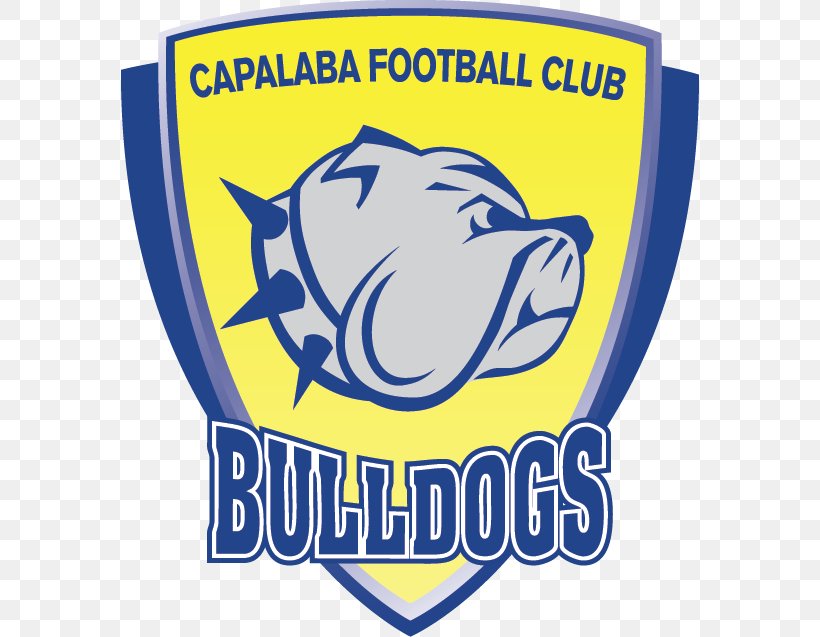 Capalaba FC Capalaba Bulldogs Football Club Redlands United FC Brisbane Premier League Eastern Suburbs FC, PNG, 578x637px, Capalaba Fc, Area, Brand, Brisbane City Fc, Brisbane Premier League Download Free