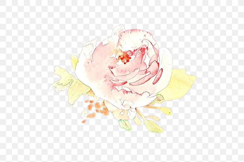 Garden Roses, PNG, 565x544px, Cartoon, Flower, Garden Roses, Petal, Pink Download Free