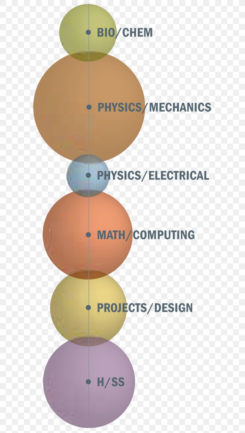 Mechanical Engineering Civil Engineering Architectural Engineering Environmental Engineering, PNG, 640x1447px, Mechanical Engineering, Architectural Engineering, Civil Engineer, Civil Engineering, Construction Engineering Download Free