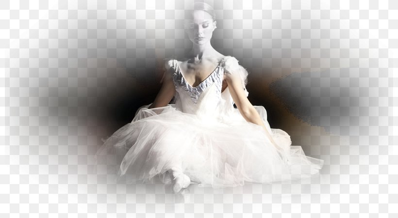 Nina Sayers Film Ballet Dancer Swan Lake, PNG, 800x450px, Watercolor, Cartoon, Flower, Frame, Heart Download Free