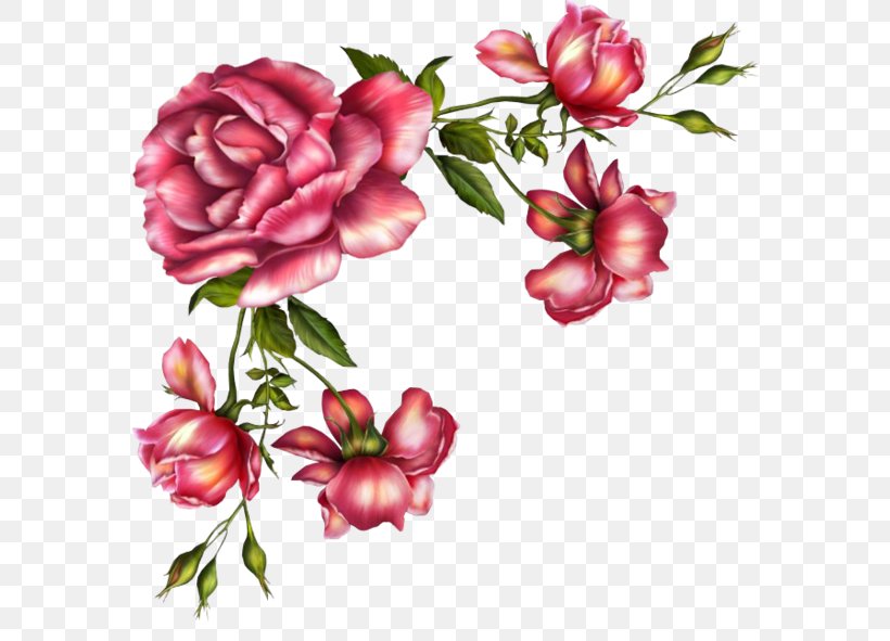 Paper Garden Roses Flower Decoupage, PNG, 600x591px, Paper, Art, Cut Flowers, Decoupage, Drawing Download Free