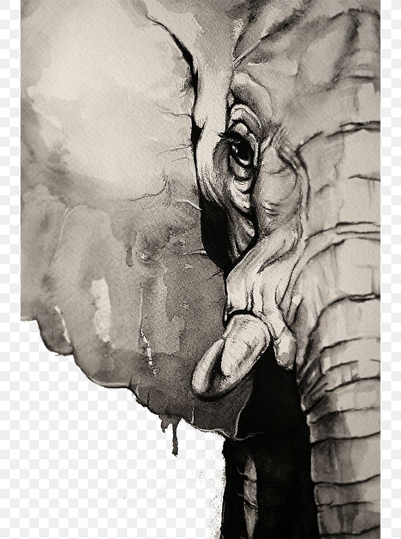 T-shirt Watercolor Painting Elephant Drawing, PNG, 736x1103px, Tshirt, Art, Artwork, Black And White, Color Download Free
