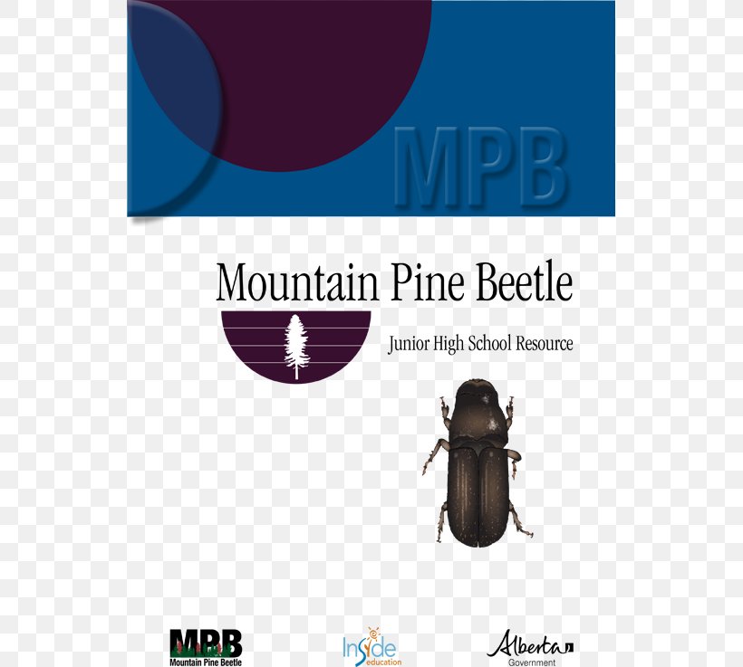 Graphic Design Mountain Pine Beetle Brand Product Design, PNG, 539x737px, Beetle, Brand, Mountain Pine Beetle, Organism, Pine Download Free