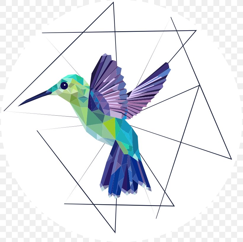 Hummingbird Geometry Golden-tailed Sapphire, PNG, 814x814px, Hummingbird, Animal, Art, Beak, Bird Download Free
