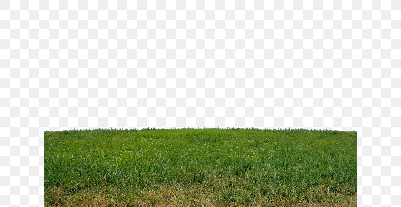 Lawn Garden Royalty-free Clip Art, PNG, 640x424px, Lawn, Agriculture, Crop, Ecoregion, Ecosystem Download Free