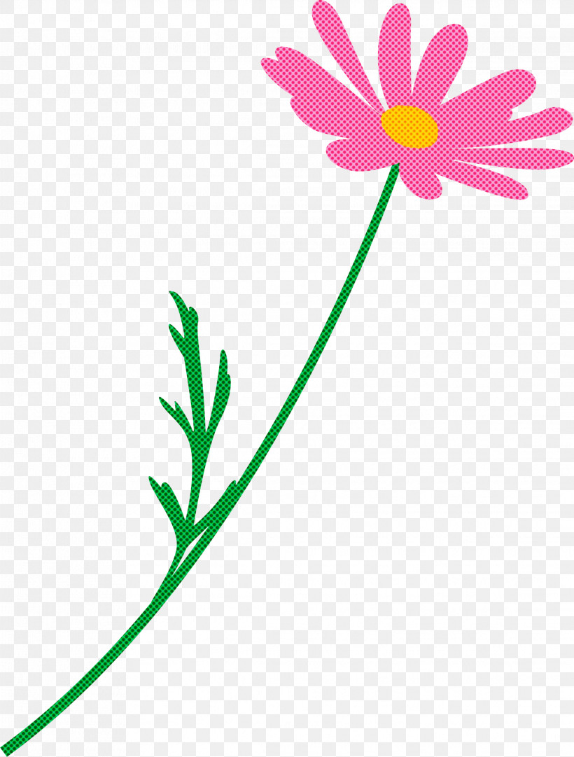 Marguerite Flower Spring Flower, PNG, 2274x3000px, Marguerite Flower, Chamomile, Daisy Family, Flower, Pedicel Download Free