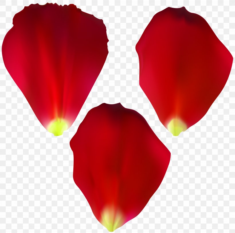Rose Painting Clip Art, PNG, 8000x7936px, Rose, Blog, Flower, Flowering Plant, Garden Roses Download Free