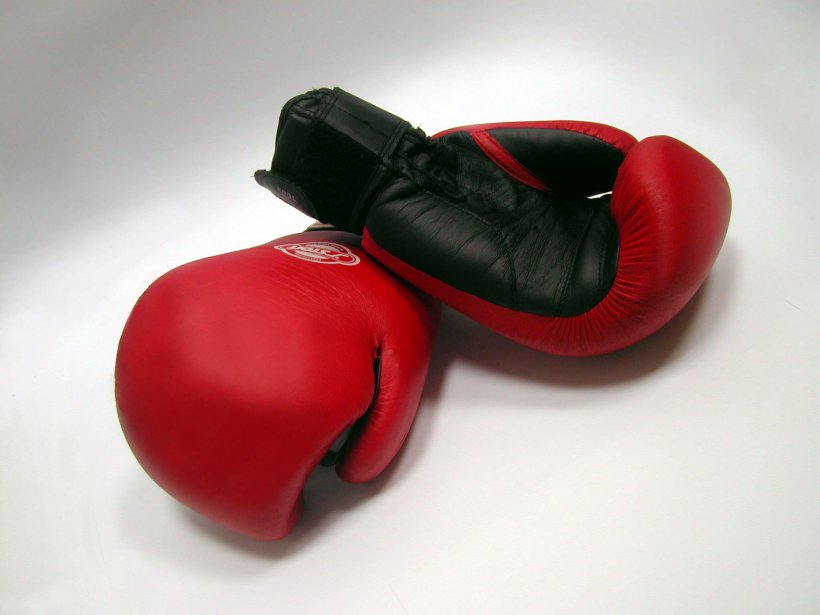 Boxing Glove Punching & Training Bags, PNG, 2048x1536px, Boxing, Boxing Equipment, Boxing Glove, Focus Mitt, Glove Download Free
