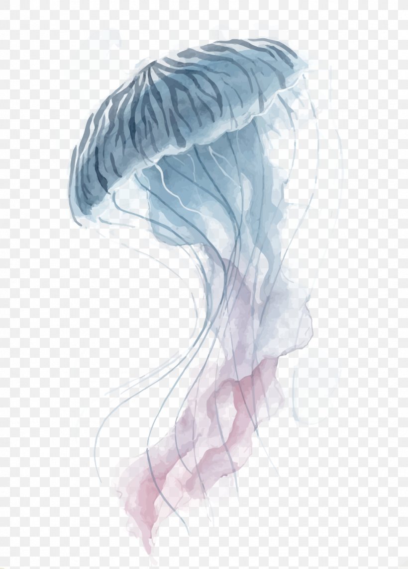 Jellyfish Watercolor Painting, PNG, 1074x1500px, Jellyfish, Head, Illustration, Ink, Jaw Download Free