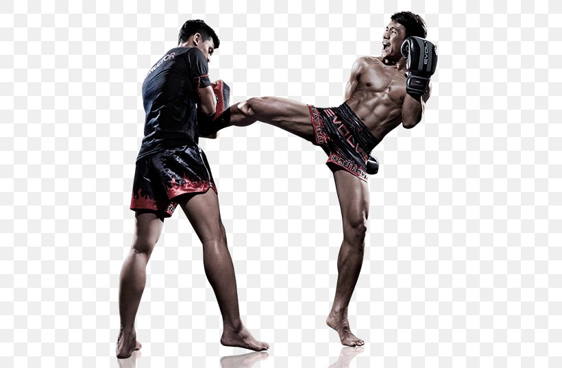 Kickboxing Combat Sport Martial Arts, PNG, 534x537px, Kickboxing, Aerobic Kickboxing, Aggression, Athlete, Boxing Download Free