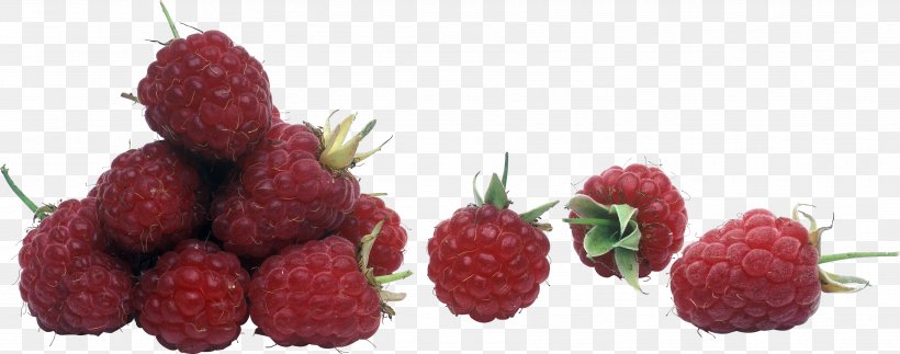 Red Raspberry, PNG, 3517x1388px, Raspberry, Auglis, Berry, Display Resolution, Food Download Free