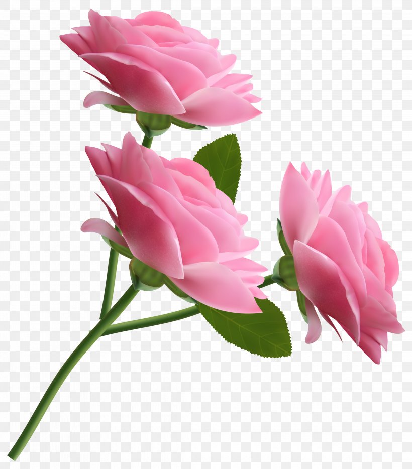 Rose Pink Clip Art, PNG, 4544x5180px, Rose, Animation, Artificial Flower, Bud, Cut Flowers Download Free