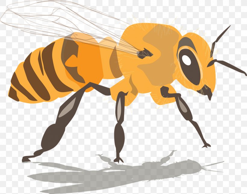 Western Honey Bee Beehive Beeswax Swarming, PNG, 1280x1005px, Bee, Arthropod, Bee Pollen, Beehive, Beekeeping Download Free