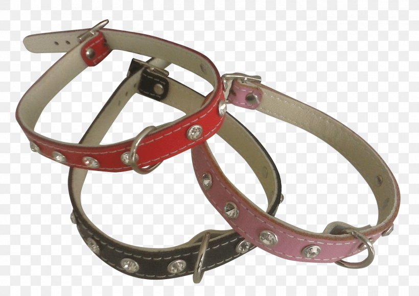 Belt Dog Collar Strap, PNG, 1762x1248px, Belt, Collar, Dog, Dog Collar, Fashion Accessory Download Free