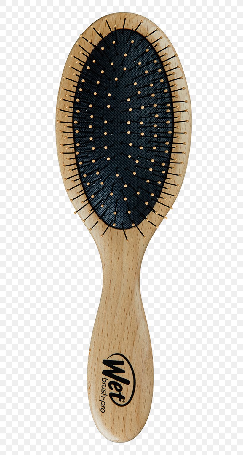 Hairbrush Long Hair Canities, PNG, 554x1534px, Brush, Ahornholz, Canities, Dating, Hair Download Free