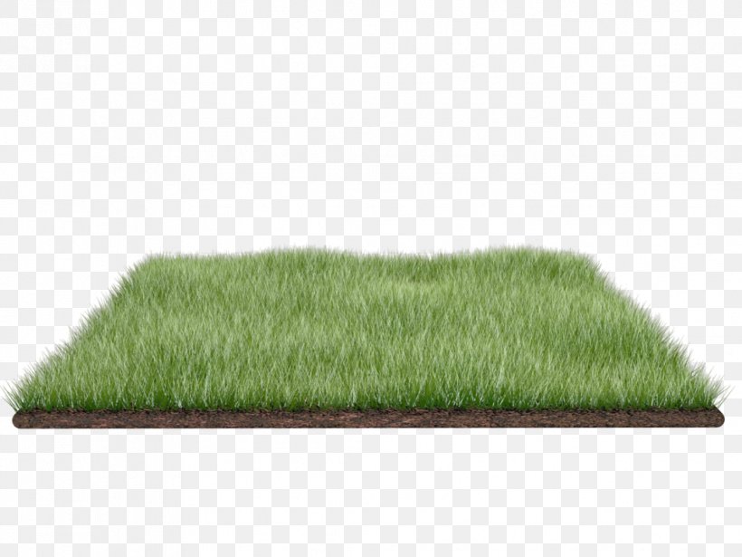 Lawn Clip Art, PNG, 1032x774px, Lawn, Display Resolution, Flooring, Grass, Grass Family Download Free