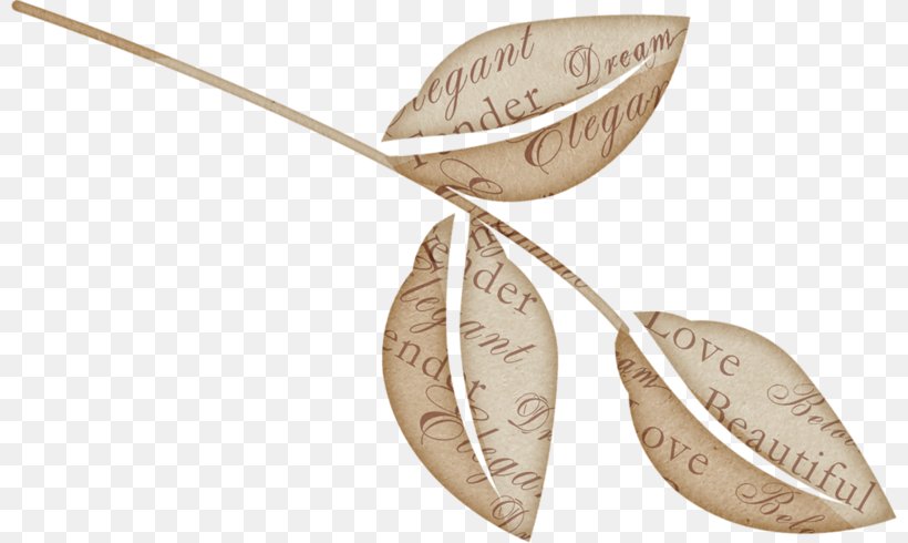 Body Jewellery Leaf, PNG, 800x490px, Body Jewellery, Body Jewelry, Jewellery, Leaf, Silver Download Free