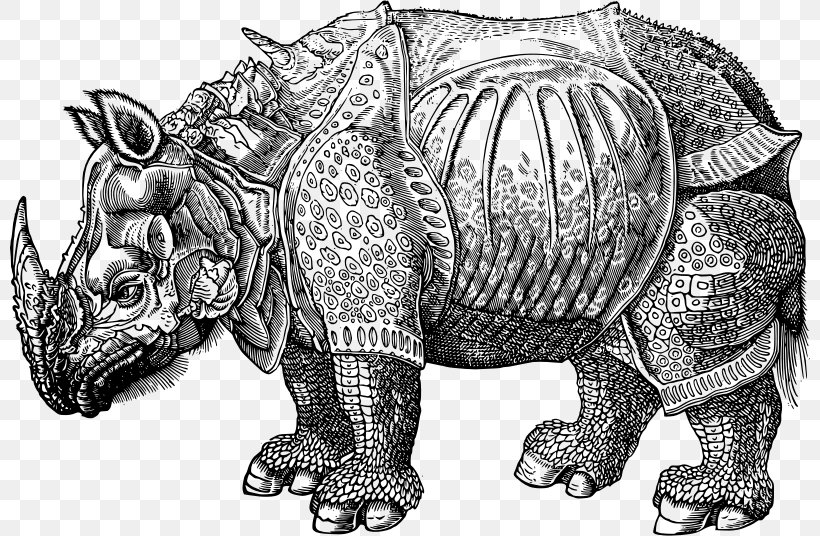 Dürer's Rhinoceros Armour Drawing Clip Art, PNG, 800x536px, Rhinoceros, African Elephant, Armour, Black And White, Black Rhinoceros Download Free