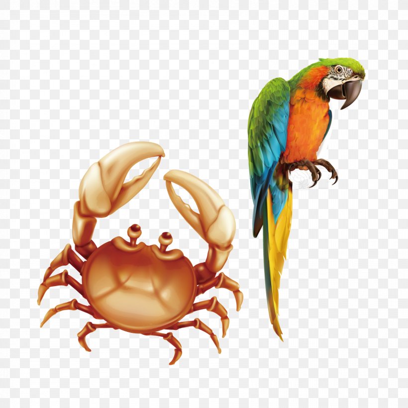 Parrot Crab Bird Illustration, PNG, 1667x1667px, Parrot, Beak, Bird, Blueandyellow Macaw, Common Pet Parakeet Download Free