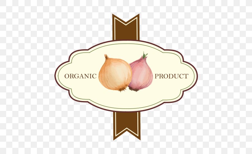 Shallot Vegetable Icon, PNG, 500x500px, Shallot, Food, Fruit, Garlic, Leek Download Free