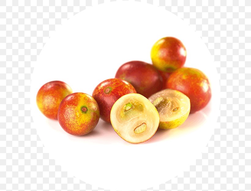 Camu Camu Amazon Rainforest Fruit Smoothie Food, PNG, 624x624px, Camu Camu, Accessory Fruit, Amazon Rainforest, Apple, Barbados Cherry Download Free