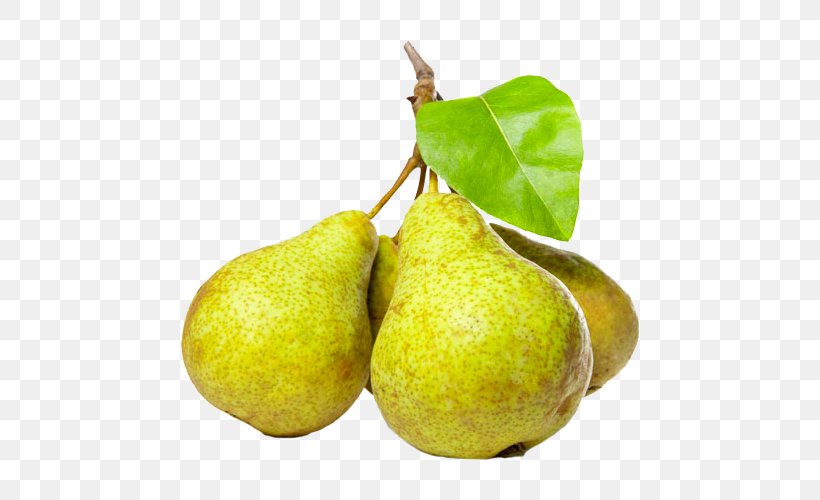 Comice Pears Fruit Doyenné Williams Pear, PNG, 600x500px, Comice Pears, Can Stock Photo, Citrus, Conference Pear, European Pear Download Free