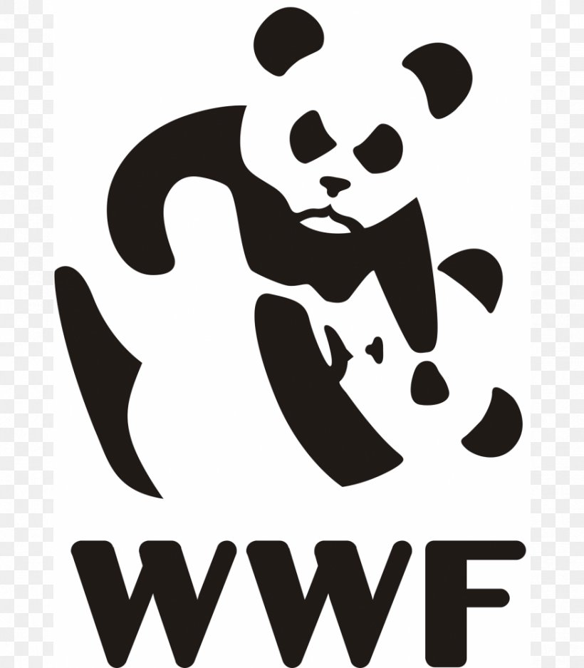 Giant WWF-UK World Wide Fund For Nature T-shirt Bear, PNG, Giant Panda,