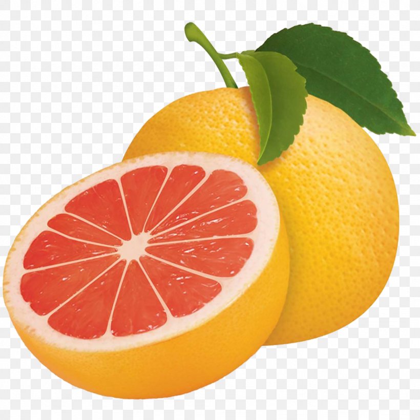 Grapefruit Sour Tangerine Bergamot Orange Lemon, PNG, 1024x1024px, Grapefruit, Bergamot Orange, Bitter Orange, Blood Orange, Citric Acid Download Free
