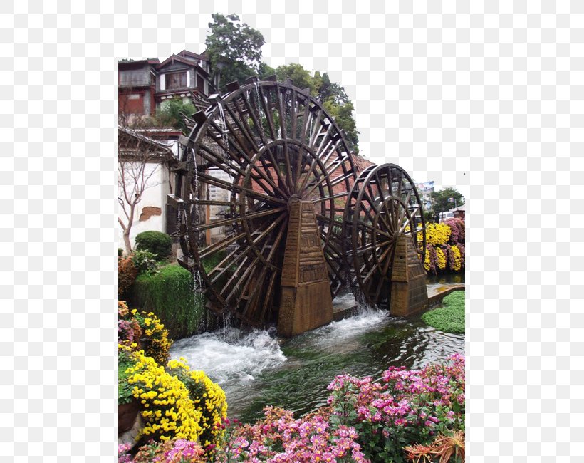 Old Town Of Lijiang Shuhe Ancient Town Water Wheel, PNG, 487x650px, Old Town Of Lijiang, Botanical Garden, Flora, Flower, Flowering Plant Download Free
