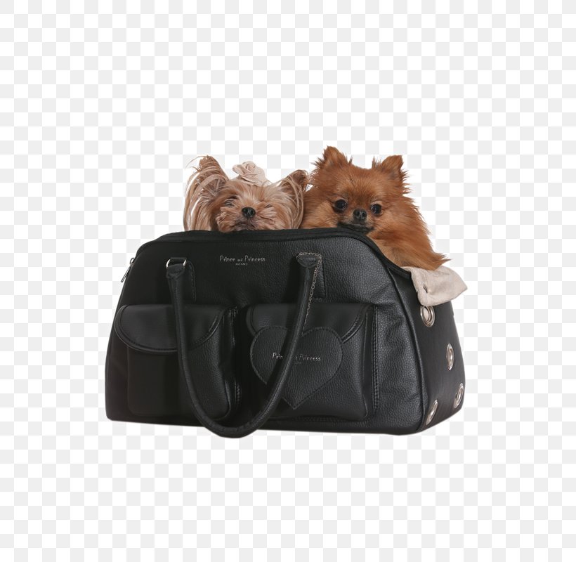Dog Breed Handbag Consorzio Costa Smeralda Porto Cervo Homes, PNG, 600x800px, Dog Breed, Bag, Costa Smeralda, Dog, Dog Like Mammal Download Free