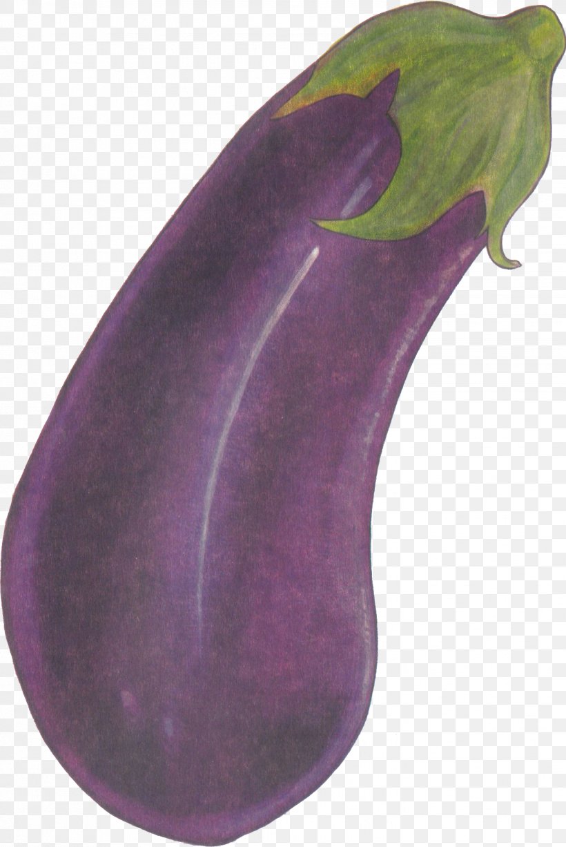 Eggplant Purple Health Love, PNG, 1427x2135px, Eggplant, Beauty, Child, Health, Love Download Free