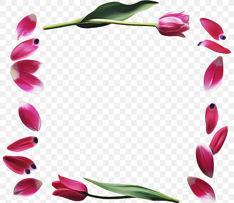 Floral Design, PNG, 800x710px, Tulip, Beautym, Cut Flowers, Floral Design, Flower Download Free