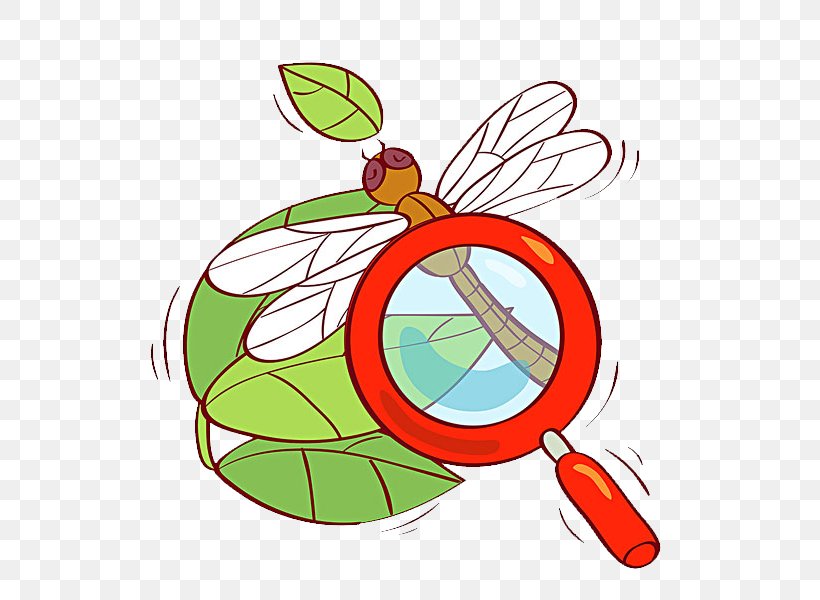 Magnifying Glass Observation Illustration, PNG, 600x600px, Magnifying Glass, Animation, Area, Artwork, Dragonfly Download Free