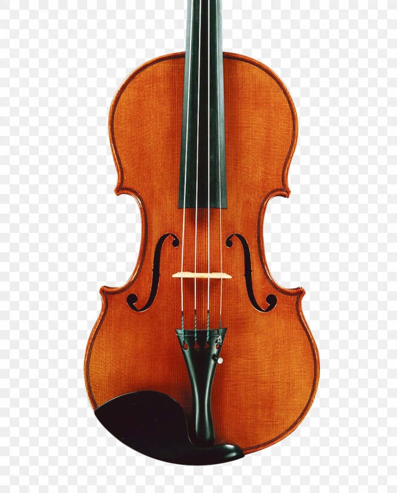 Markneukirchen Violin Musical Instrument Ukulele String Instrument, PNG, 1000x1240px, Watercolor, Cartoon, Flower, Frame, Heart Download Free
