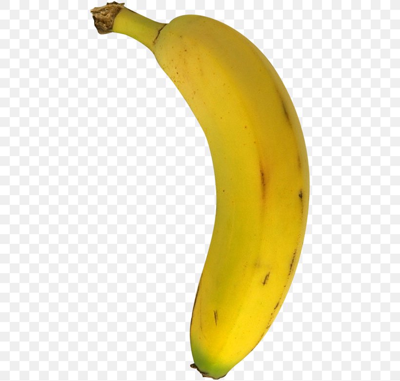 Saba Banana Index.hr Croatian Cooking Banana, PNG, 456x781px, Saba Banana, Art, Banana, Banana Family, Bodybuilding Download Free