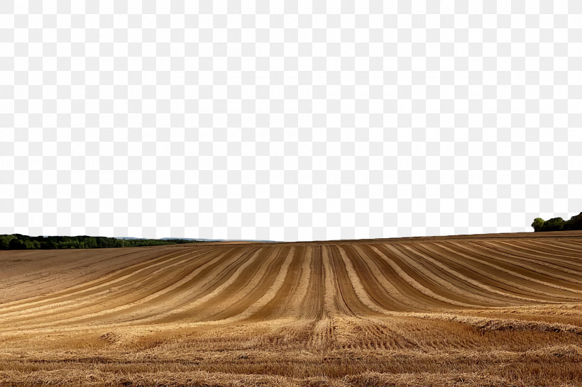 Soil Ecoregion Grasses Crop Commodity, PNG, 1920x1280px, Soil, Commodity, Crop, Ecoregion, Grasses Download Free