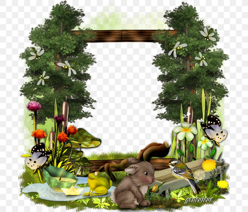 Window Image Picture Frames Vector Graphics, PNG, 700x700px, Window, Autumn, Grass, Jungle, Landscape Download Free