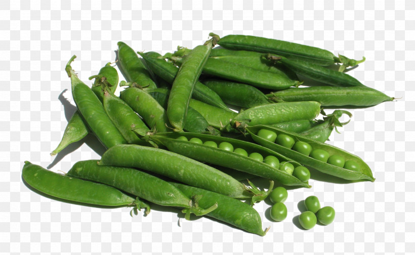 Snow Pea Snap Pea Green Bean Vegetable Fruit, PNG, 2564x1580px, Snow Pea, Bean, Common Bean, Fruit, Fruit Vegetable Download Free