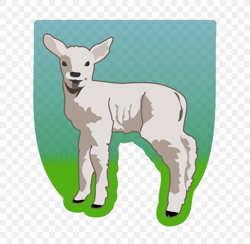 Bighorn Sheep Clip Art, PNG, 800x800px, Sheep, Antelope, Bighorn Sheep, Black Sheep, Camel Like Mammal Download Free