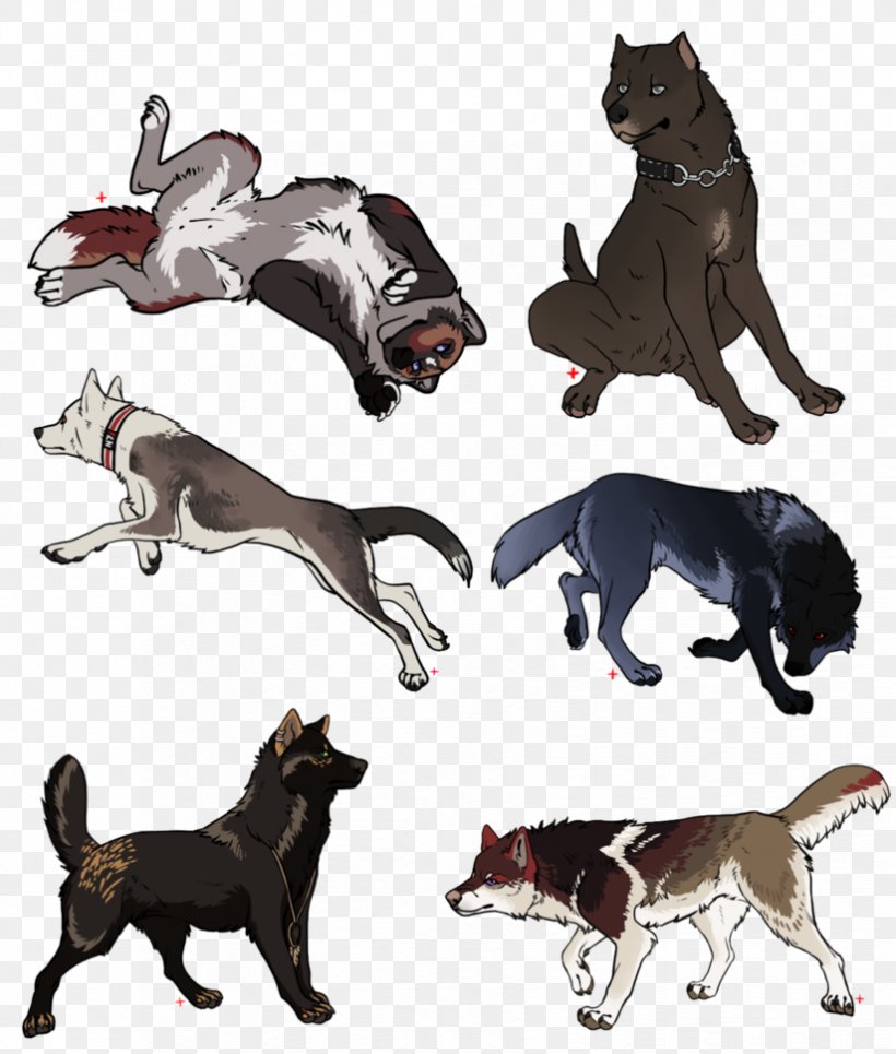 Cat Dog Breed Fauna Tail, PNG, 824x970px, Cat, Animal, Animal Figure, Breed, Carnivoran Download Free