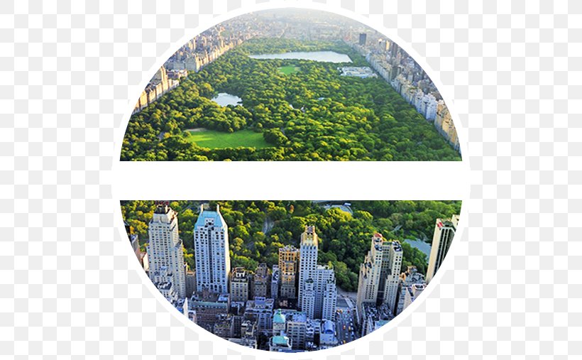 Central Park Upper West Side Midtown Manhattan Upper East Side, PNG, 506x507px, Central Park, Aerial Photography, Biome, Ecosystem, Grass Download Free