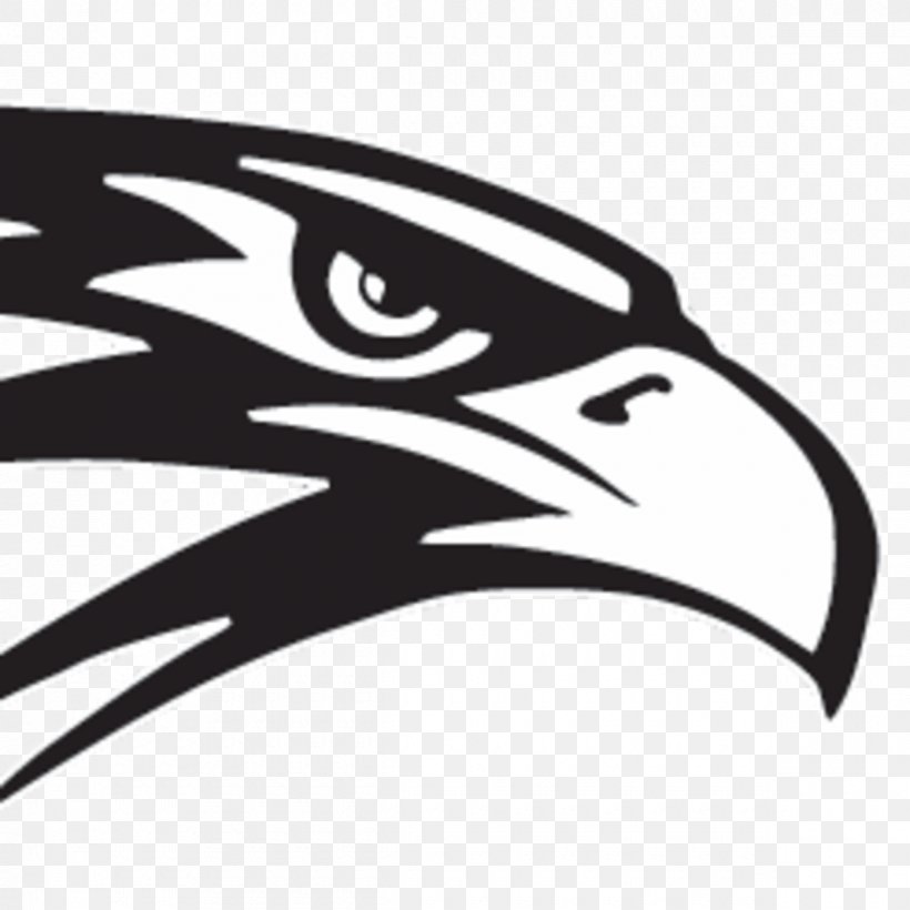 Del Norte High School Nighthawk Lane, PNG, 1200x1200px, Del Norte High School, Beak, Bird, Bird Of Prey, Black And White Download Free